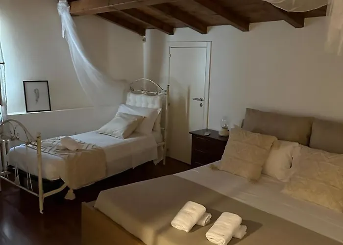 Radici - La Finestra Sui Sassi